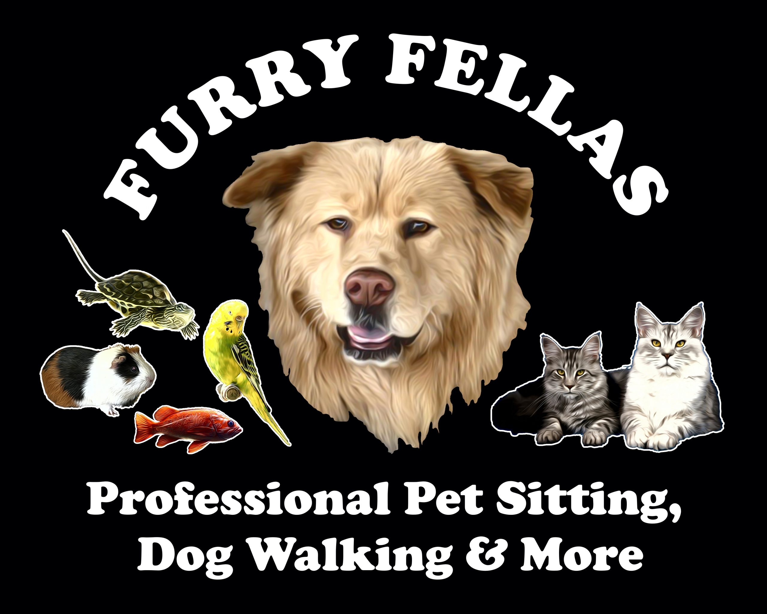 Pet Sitting, Dog Walking in Providence, RI by Furry Fellas Pet Service LLC