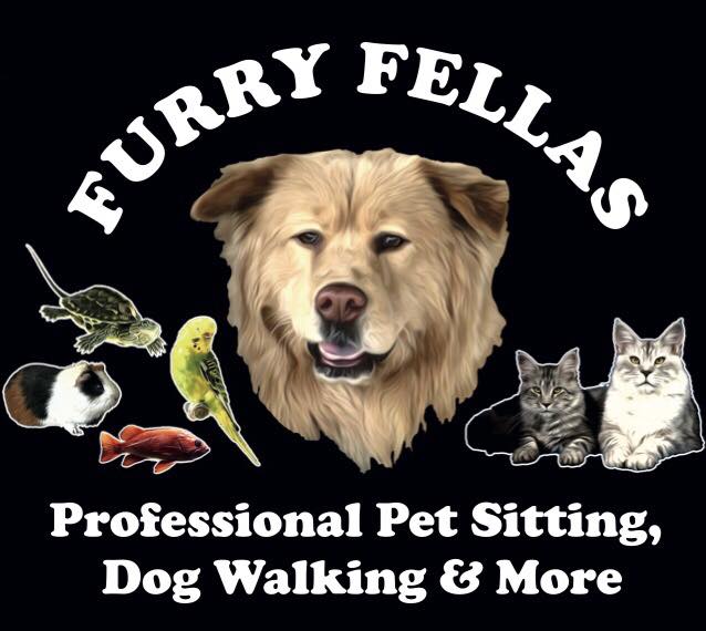 Furry Fellas Dog walker and Pet Sitter Barbara