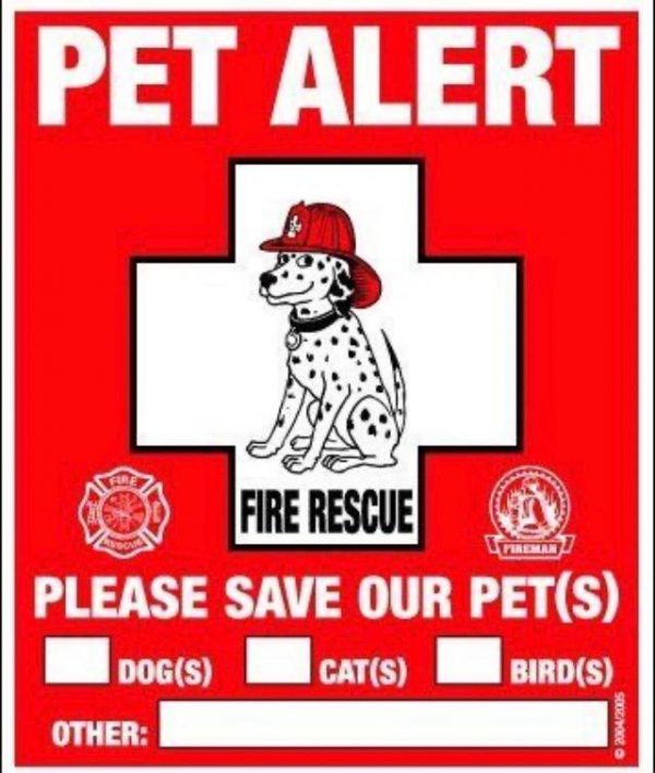 Rescue Rover pet alert decals