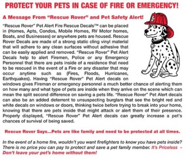 Rescue Rover pet alert decals