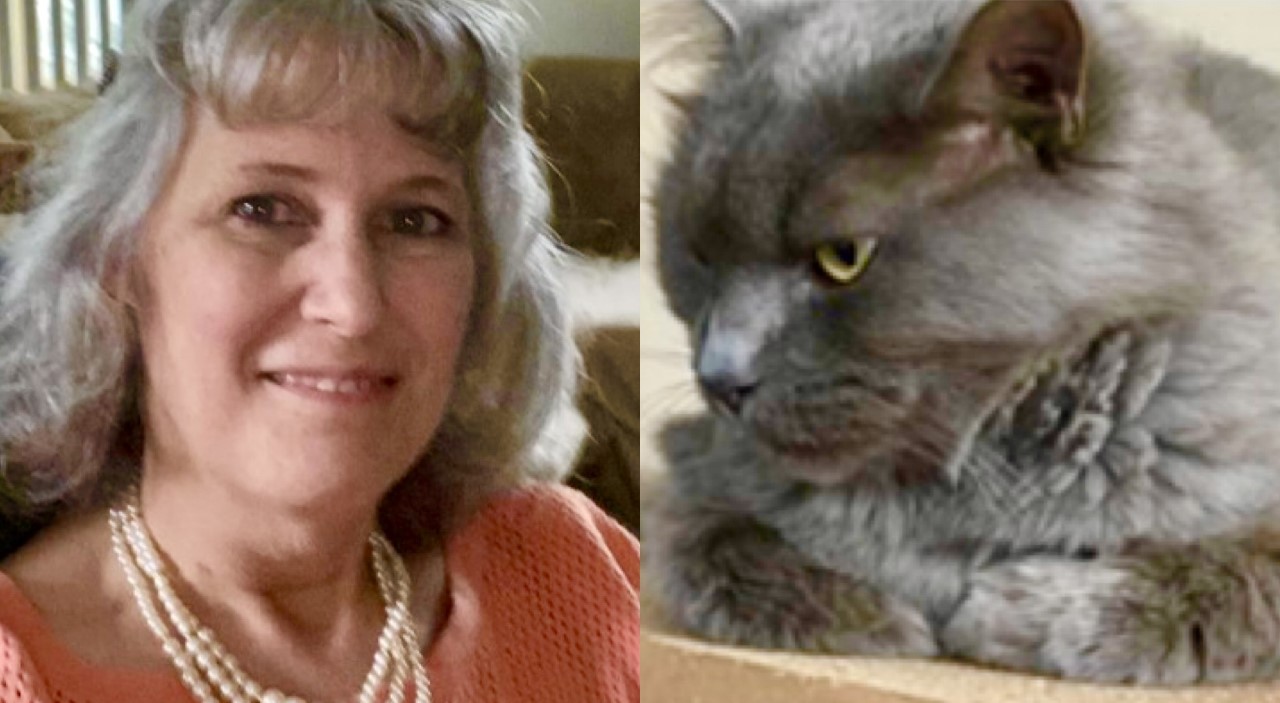 Furry Fellas Dog walker and Pet Sitter Jane Furry Fellas Dog walker and Pet Sitter Jane