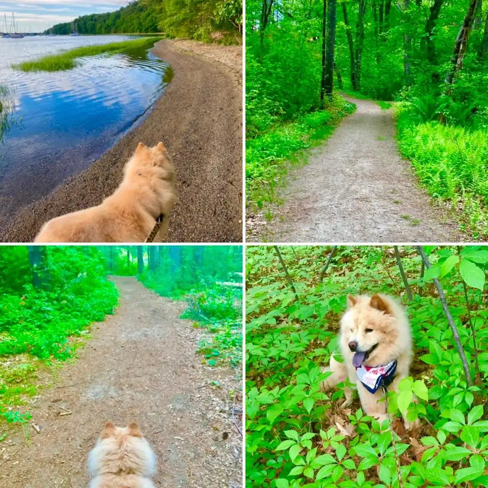 hike