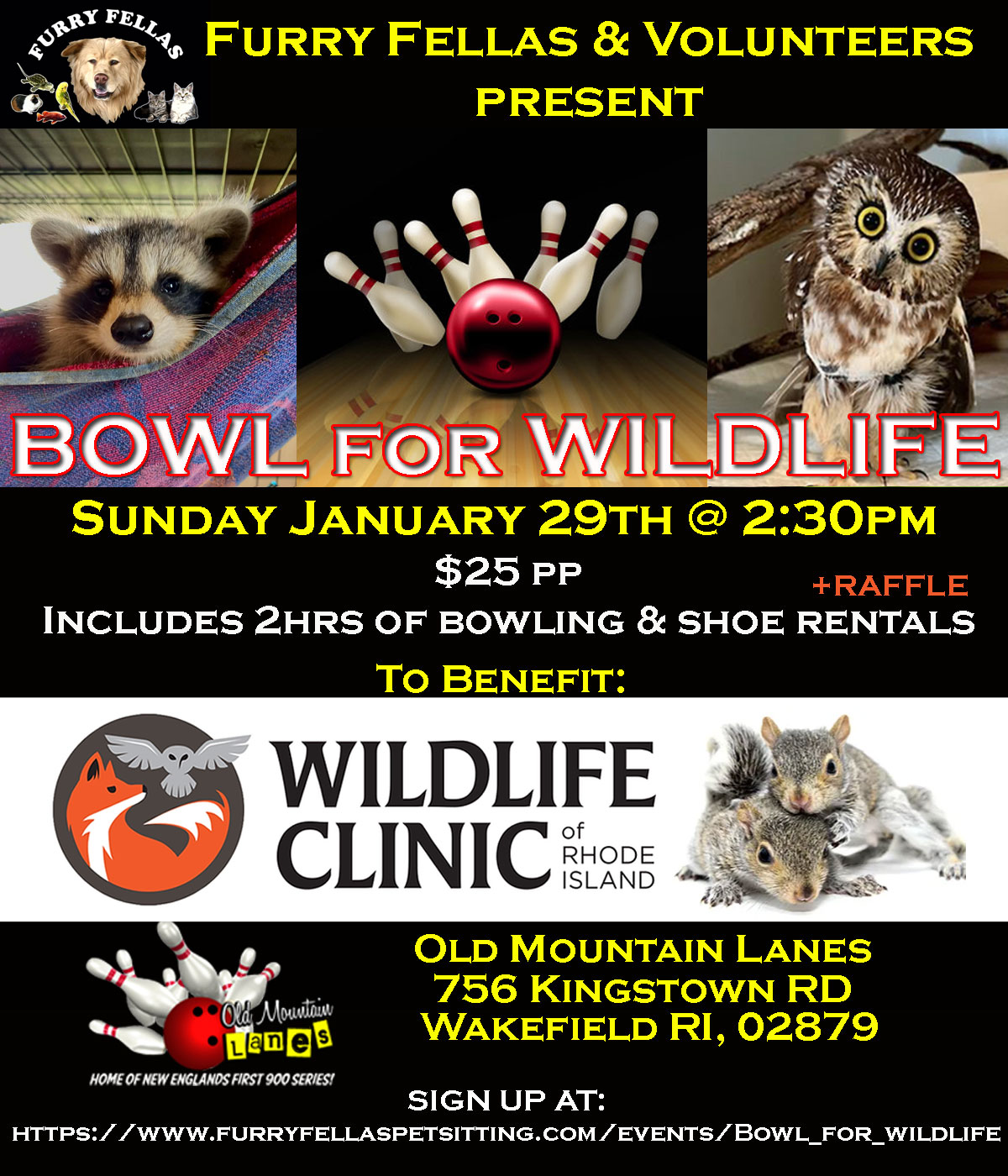 Bowl_for_Wildlife_graphic_Social_media