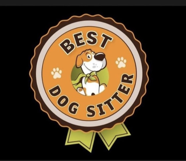 Best dog sitter award