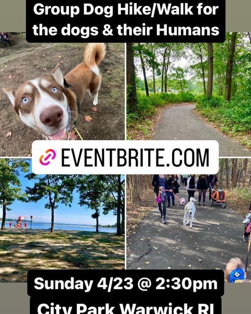 dog hike april 2023