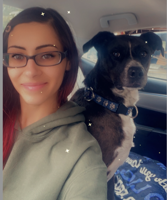 Melissa McGill Furry Fellas Dog walker and Pet Sitter Melissa