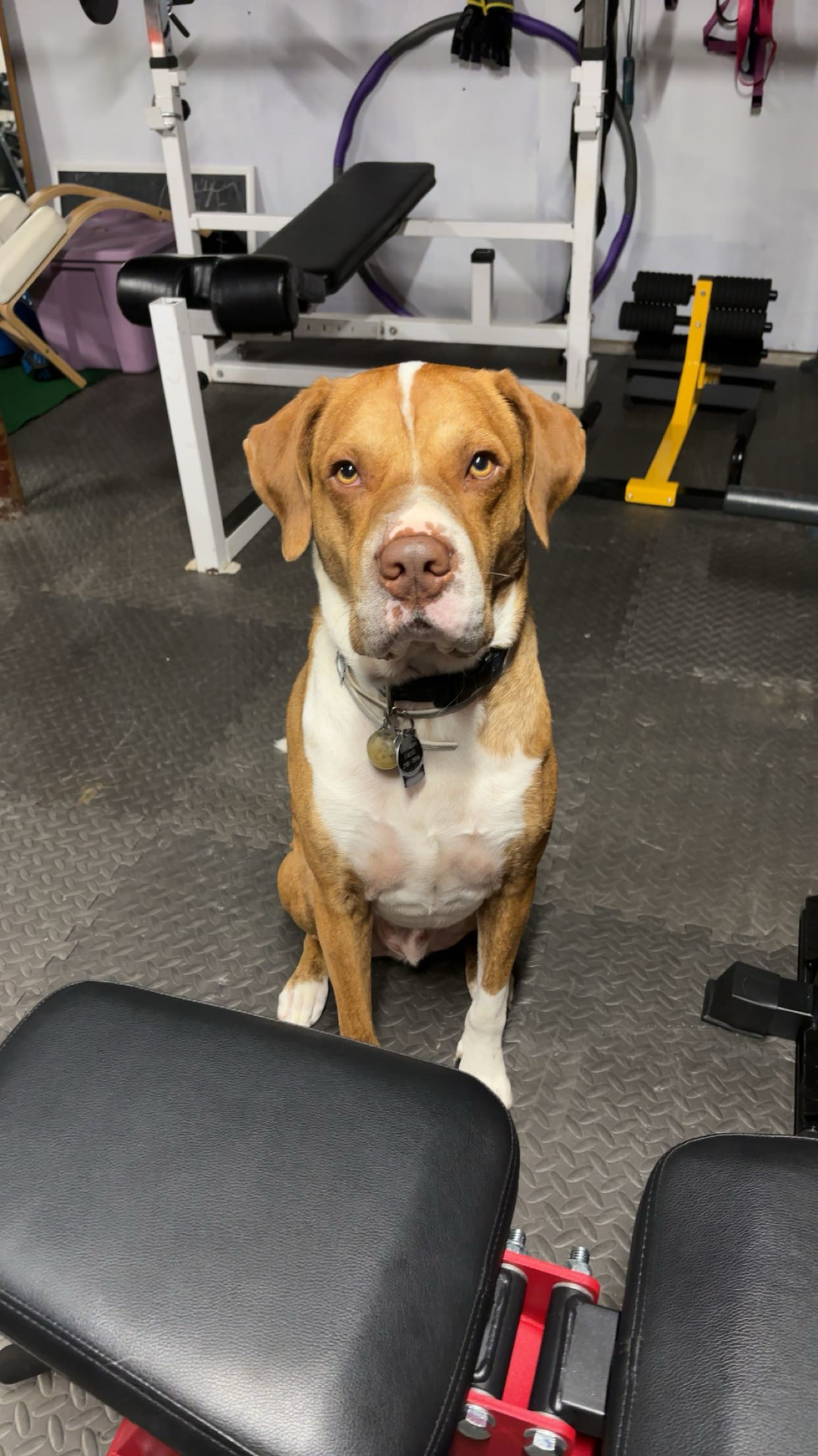 Pet Sitter Marley Byers
